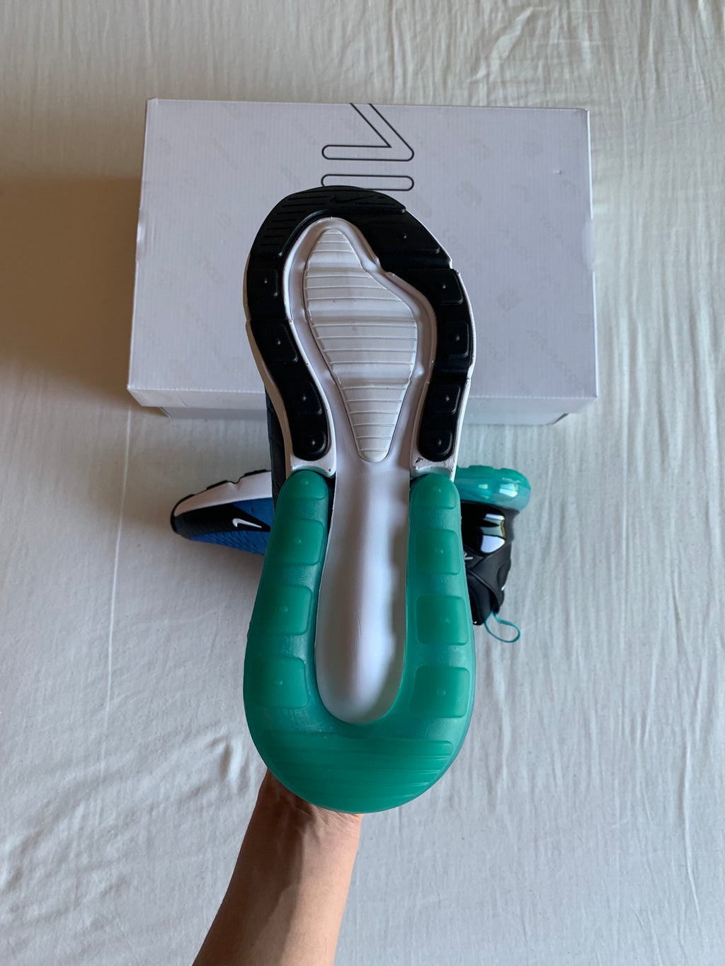 Nike Air Max 270 "Dusty Cactus"