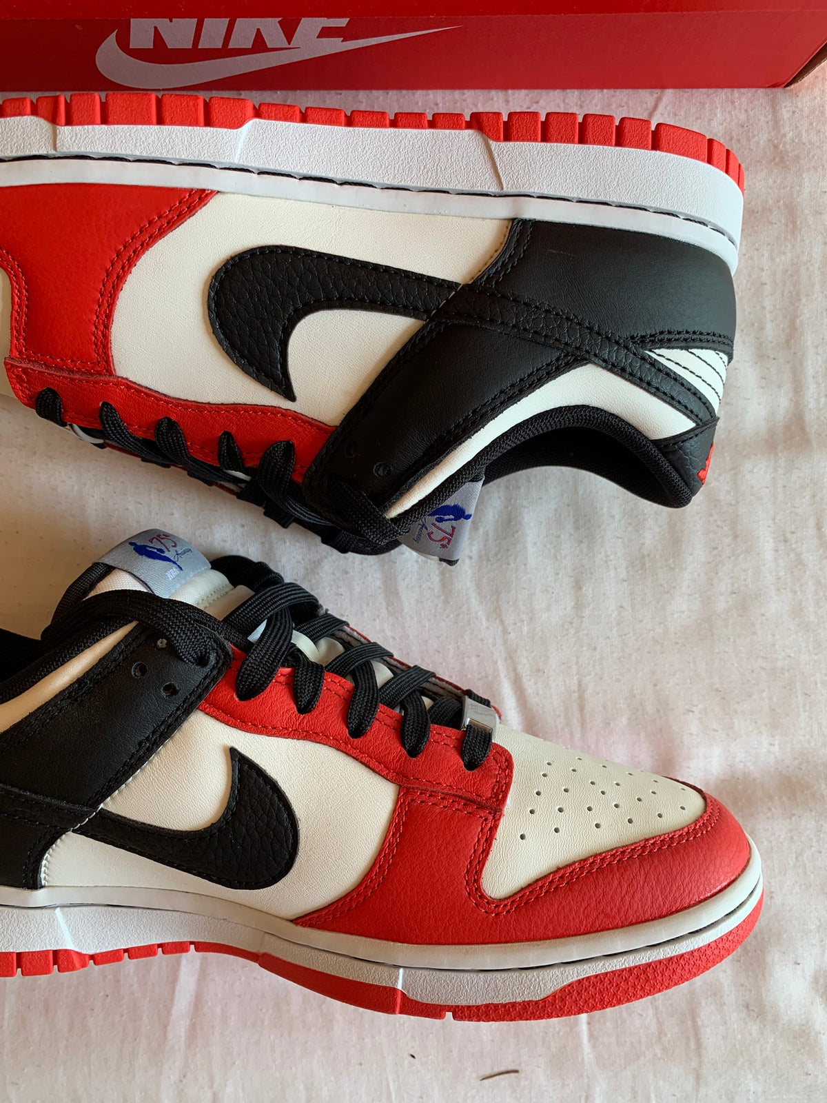 Nike Dunk Low EMB "NBA 75th Chicago"