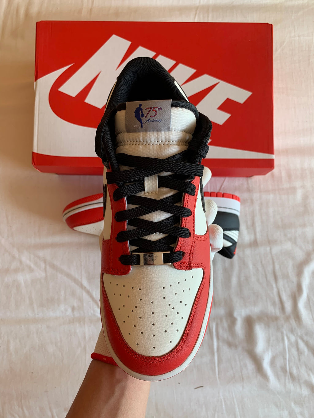 Nike Dunk Low EMB "NBA 75th Chicago"