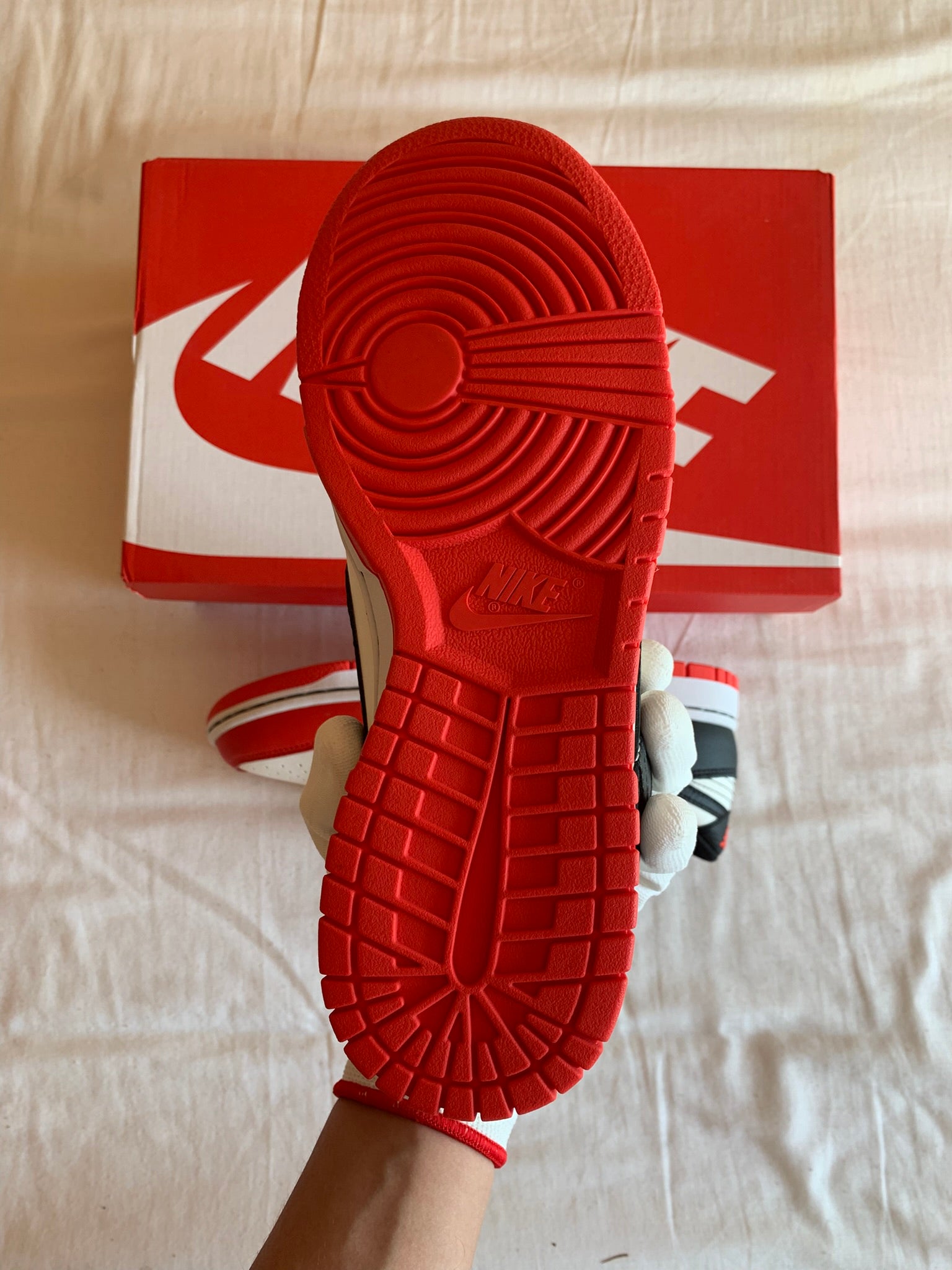 Nike Dunk Low EMB "NBA 75th Chicago"