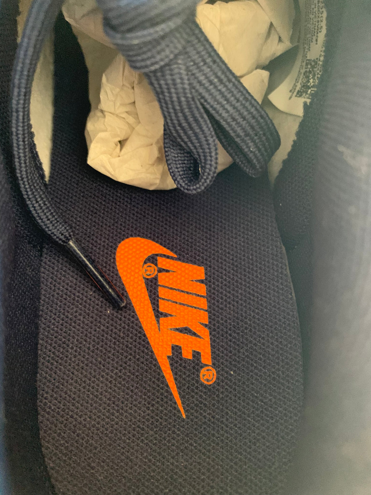 Nike Dunk Low (2021) "Michigan"