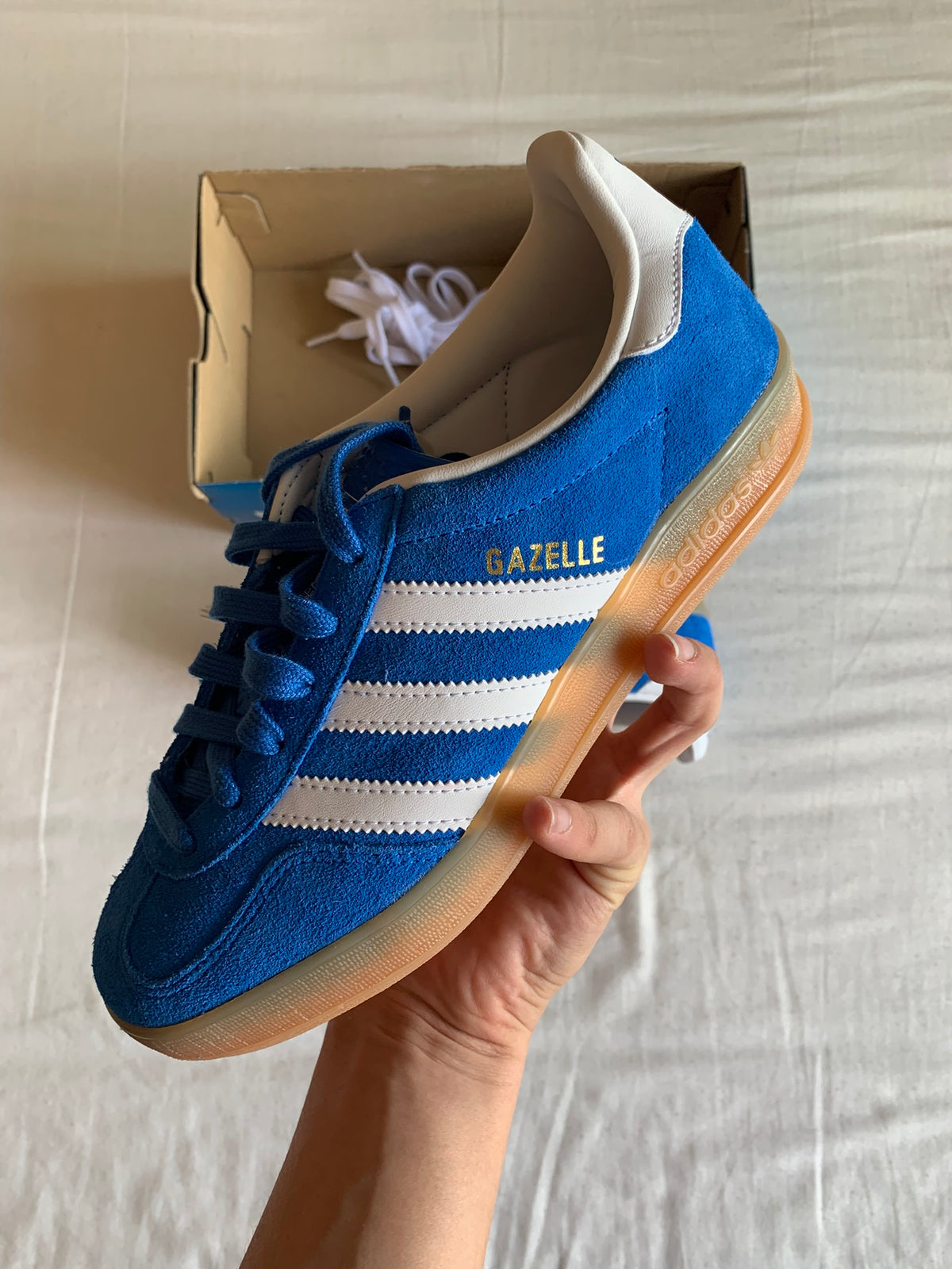Adidas Gazelle Indoor "Blue Bird"