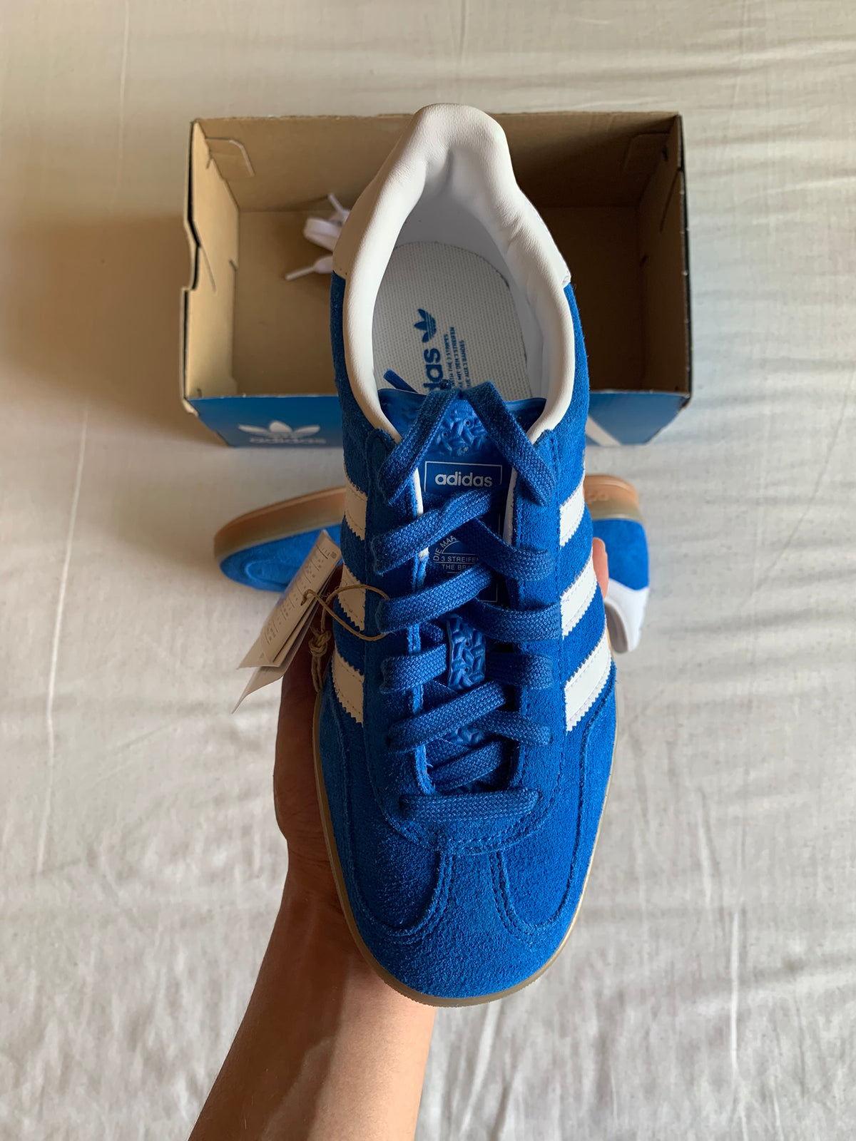 Adidas Gazelle Indoor "Blue Bird"